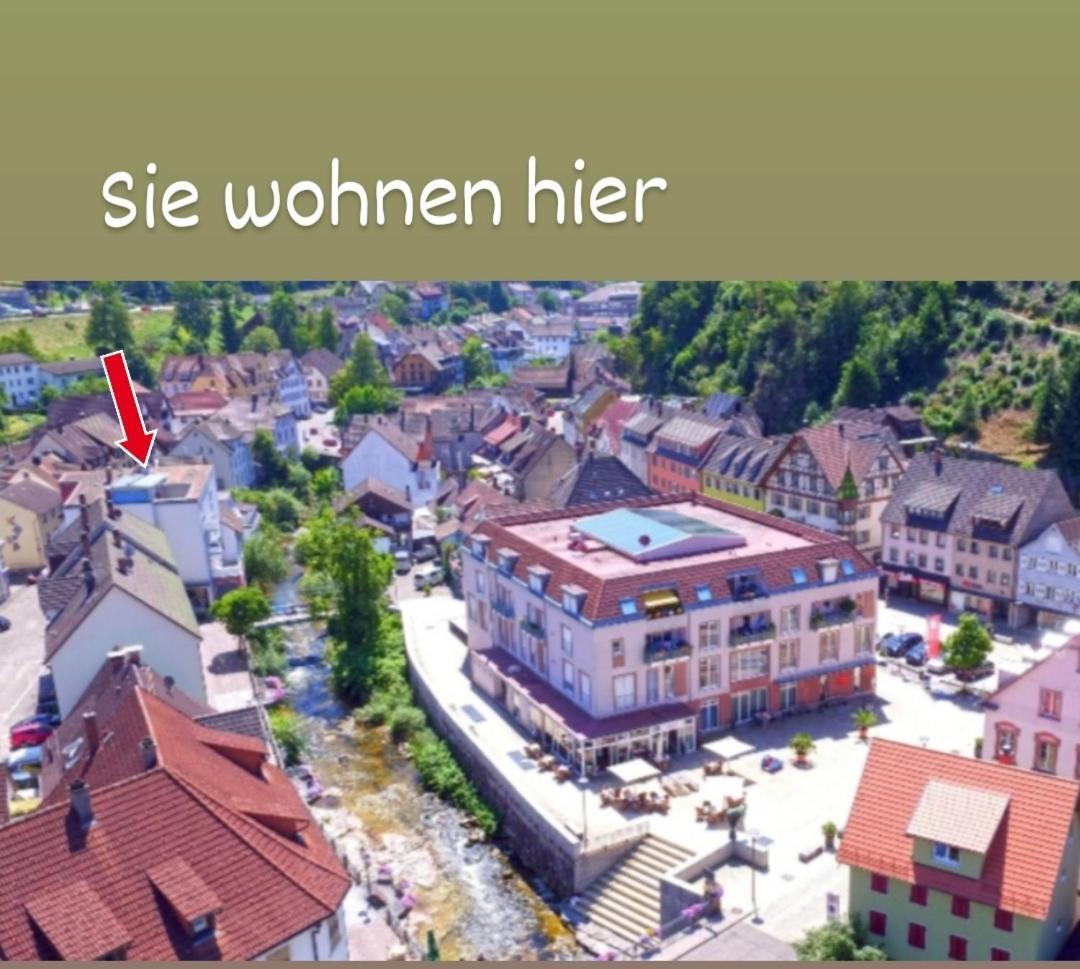 Ferienwohnung Ida Hornberg Kültér fotó